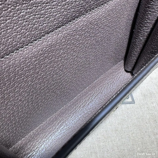 First bag ru bag-20*12.5*9CM Ophidia mini Gucci 0721
